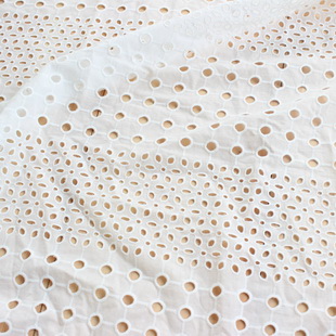 XE004 Eyelet Embroidery Schiffli Lace Fabric For Lady Garment