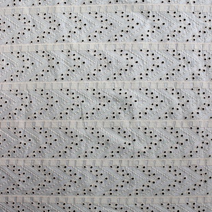 XE153 Swiss Embroidery Cotton Eyelet Lace Fabric Boho Fashion