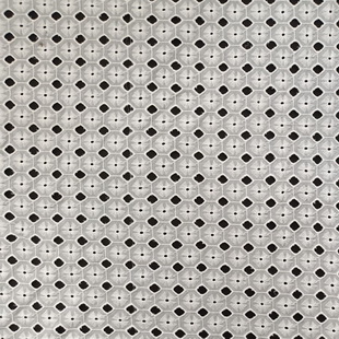 XE236 Cotton Woven Eyelet Schiffli Embroidery Fabric
