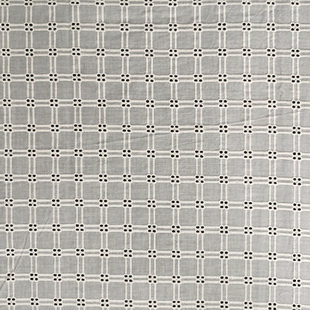 XE256 Cotton Poplin Border Schiffli Lace Embroidery Eyelet Fabric