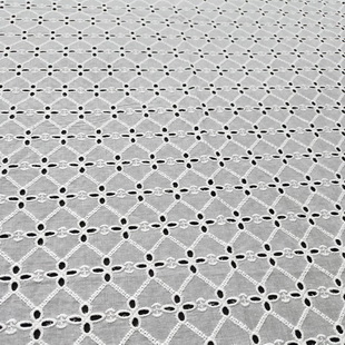 XE259 Schiffli Embroidered Cotton Lace Fabric White Lace Fabric