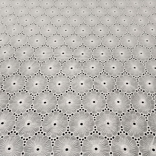 XE265 White Cotton Voile Schiffli Embroidered Fabric For Dress