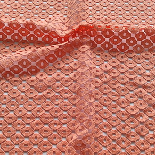 XS1669 High Fashion Haute Couture Lace Fabric Trim Fabric